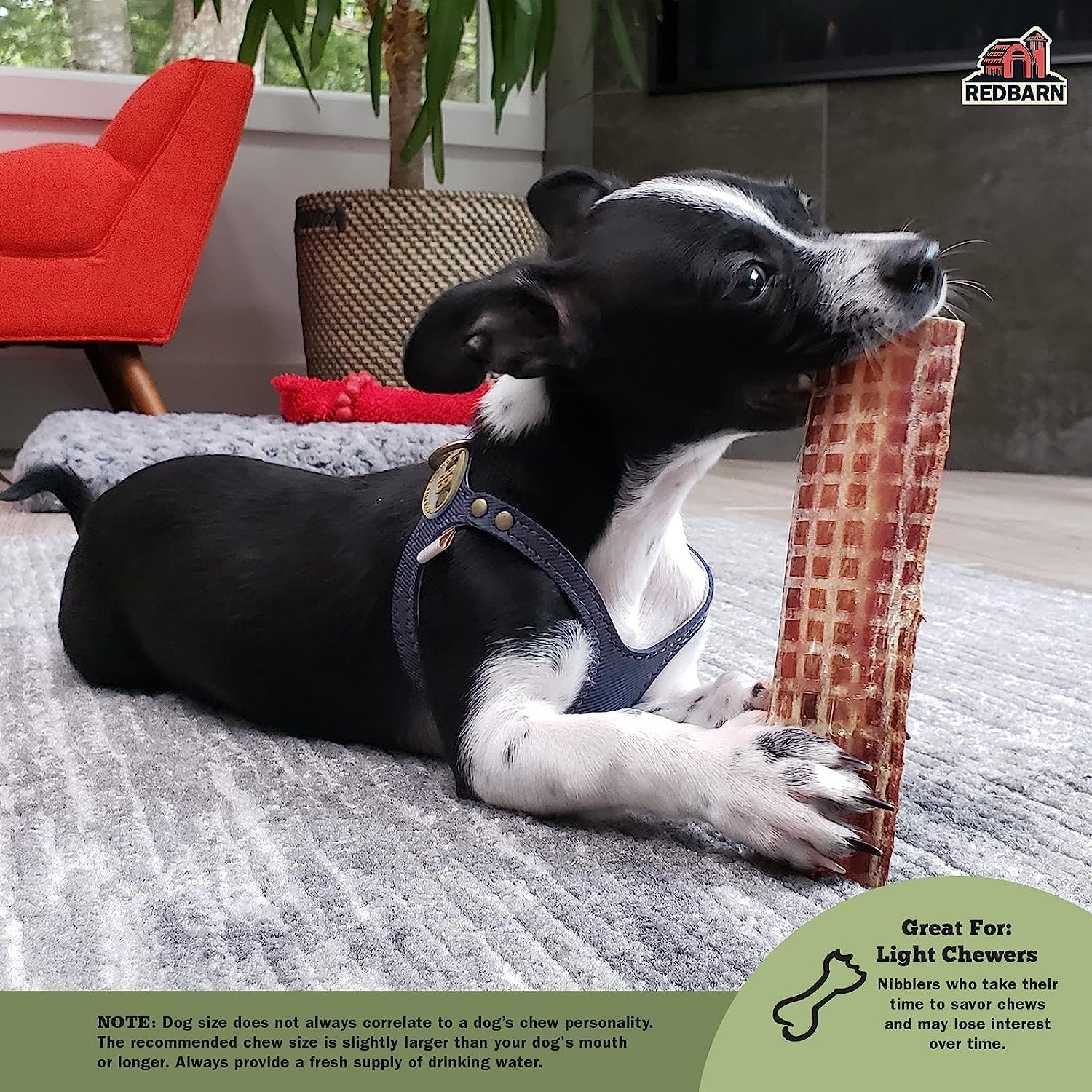 Redbarn Barky Bark detalle sin cereales para perros
