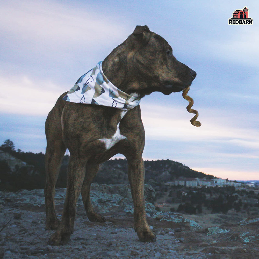 Redbarn Naturals Bully Springs alternativa al cuero crudo para perros.