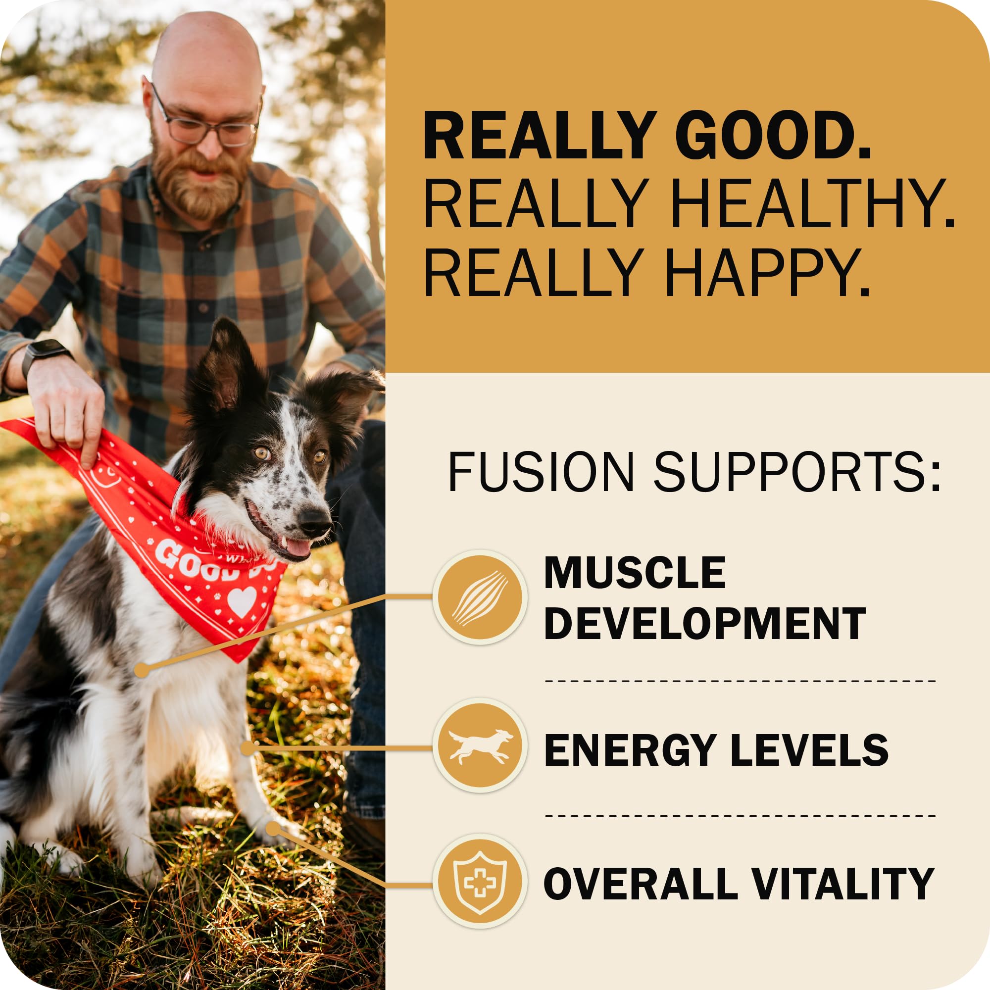 Redbarn Powerfood Fusion: grano entero, receta sin complicaciones para todas las etapas.