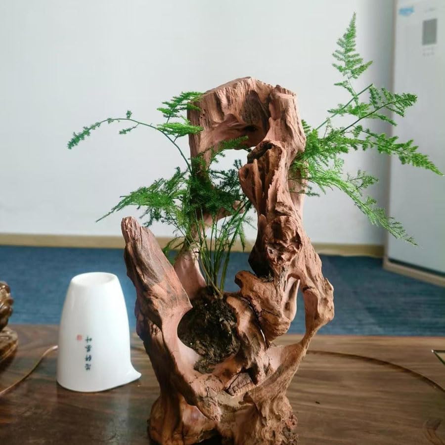 Ambiente estimulante redfeiyang, hábitat para exploración y juego