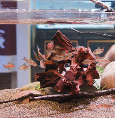 Decoración de cueva natural redfeiyang para acuario, pieza decorativa funcional