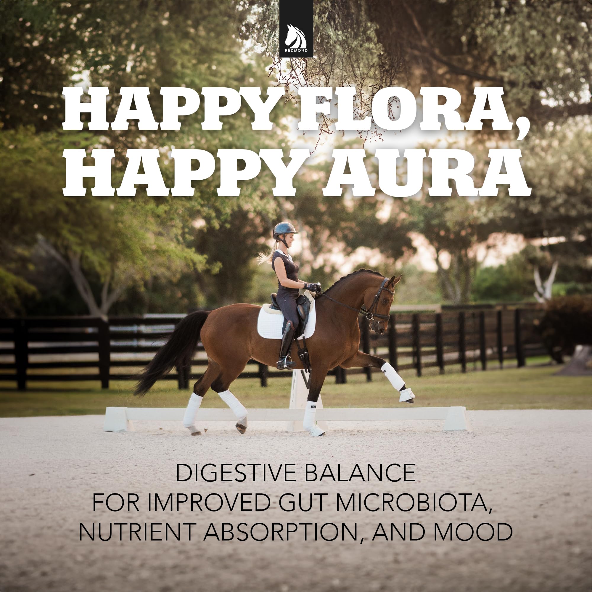 Redmond Daily Gold arcilla bentonita, ingrediente natural para caballos.