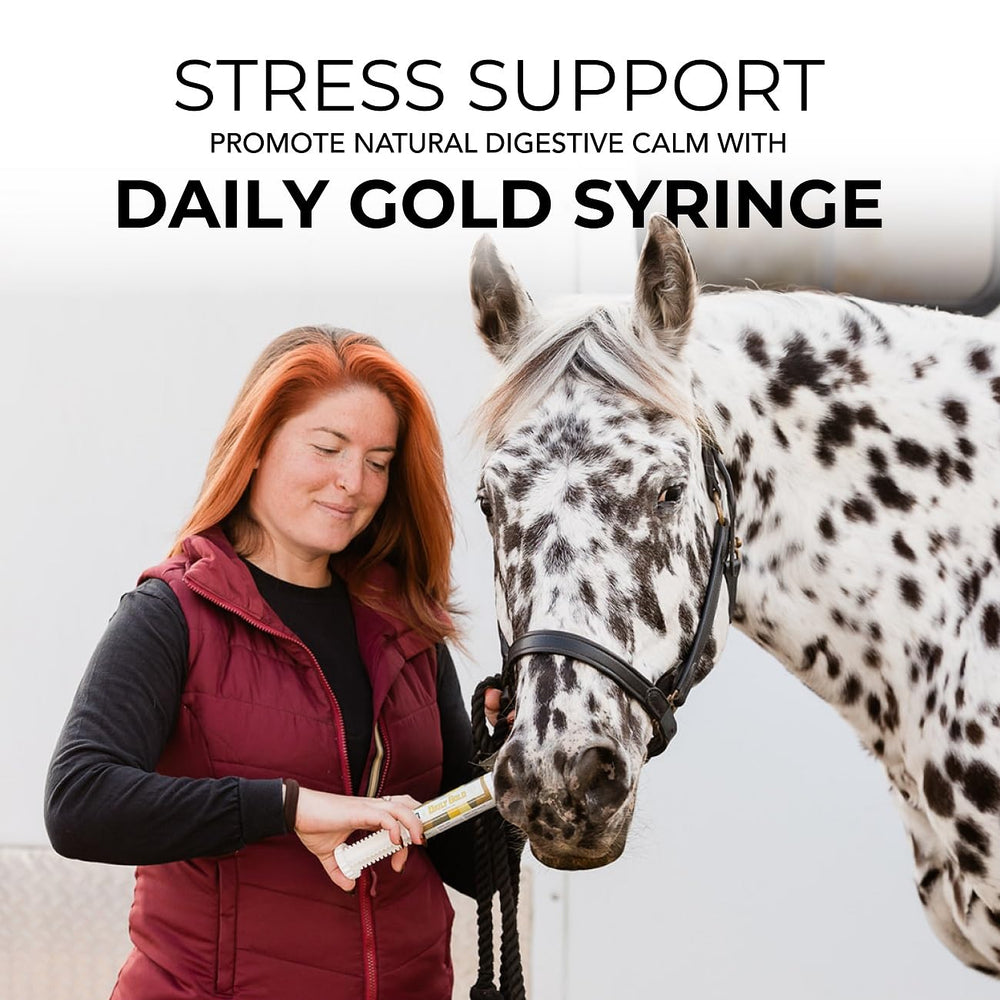 REDMOND Daily Gold envase sencillo para viajes y competencia