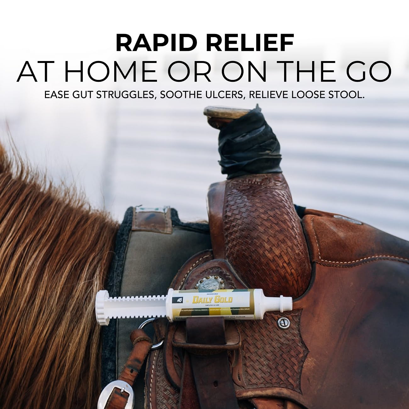 REDMOND Daily Gold arcilla natural para caballos, apoyo digestivo
