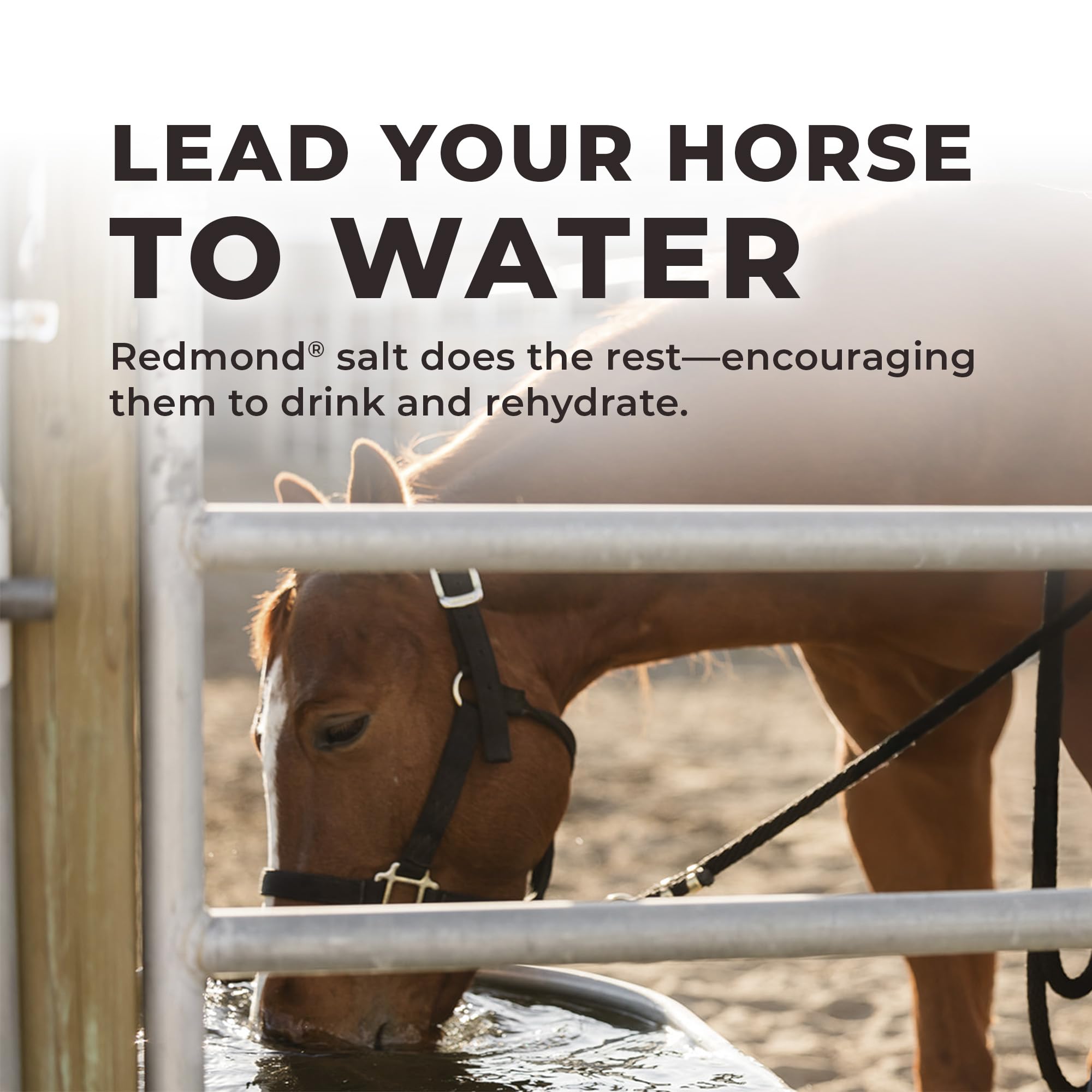 Redmond Daily Red Crushed, origen en Utah para caballos saludables.