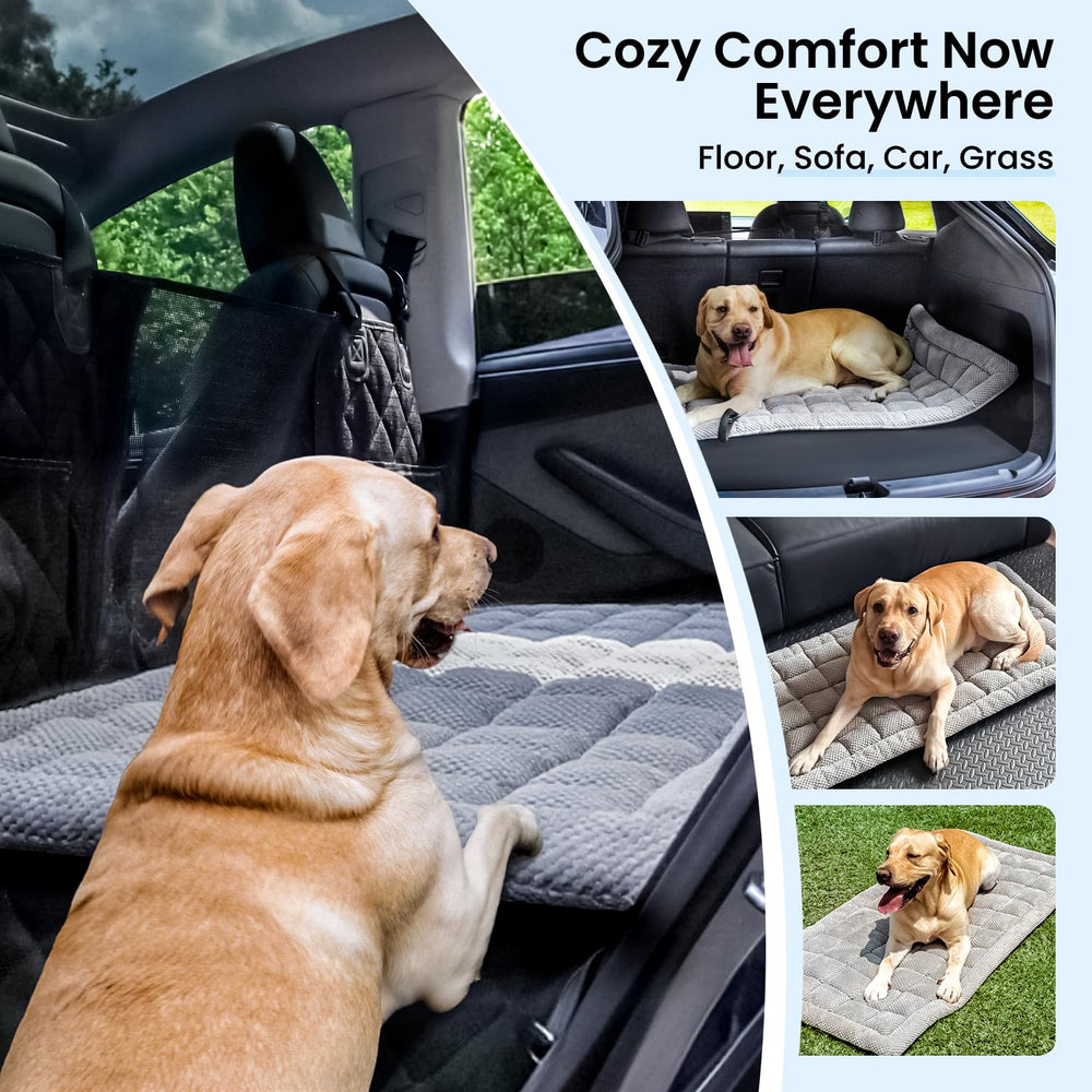 Uso en coche, camping o casa con la cama REEVAA para perros.