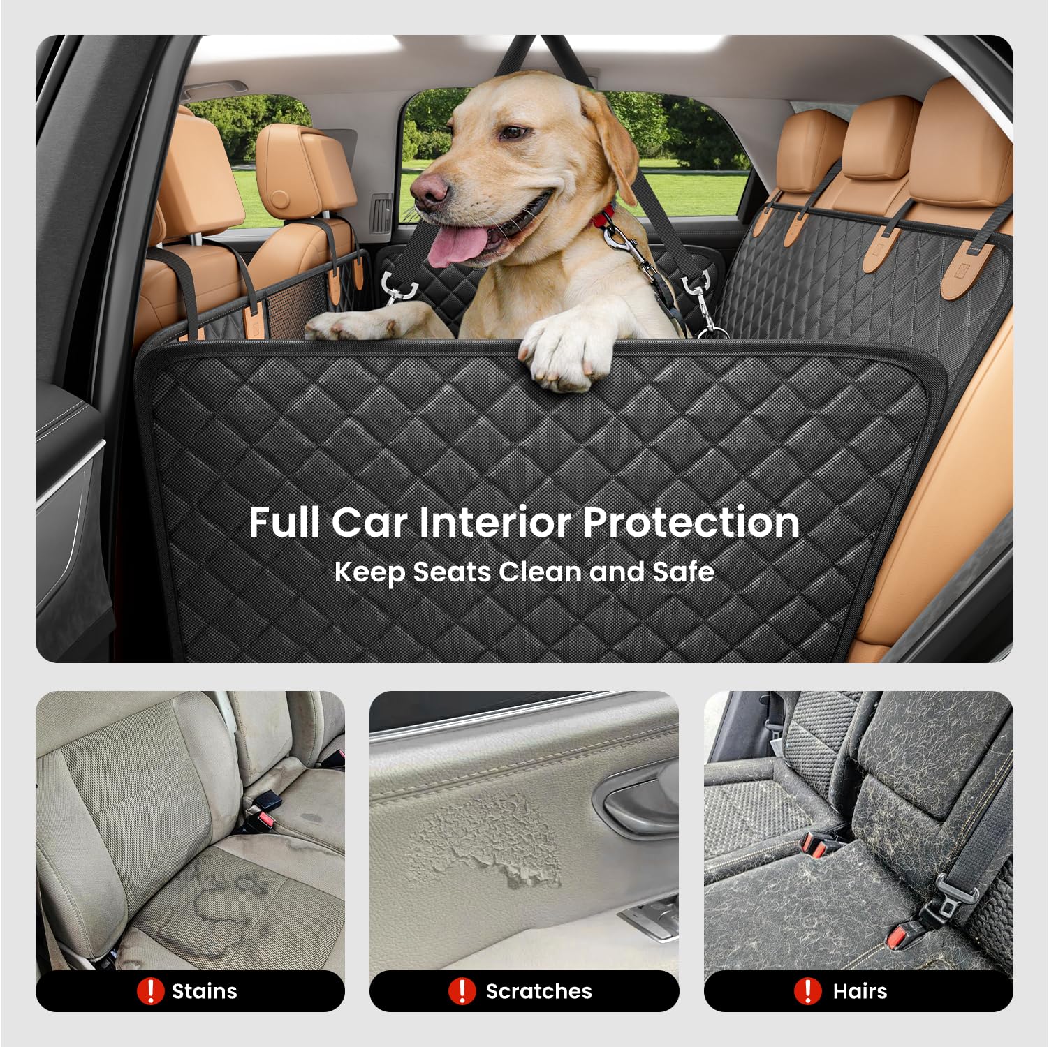 REEVAA espacio para dos perros grandes en el coche