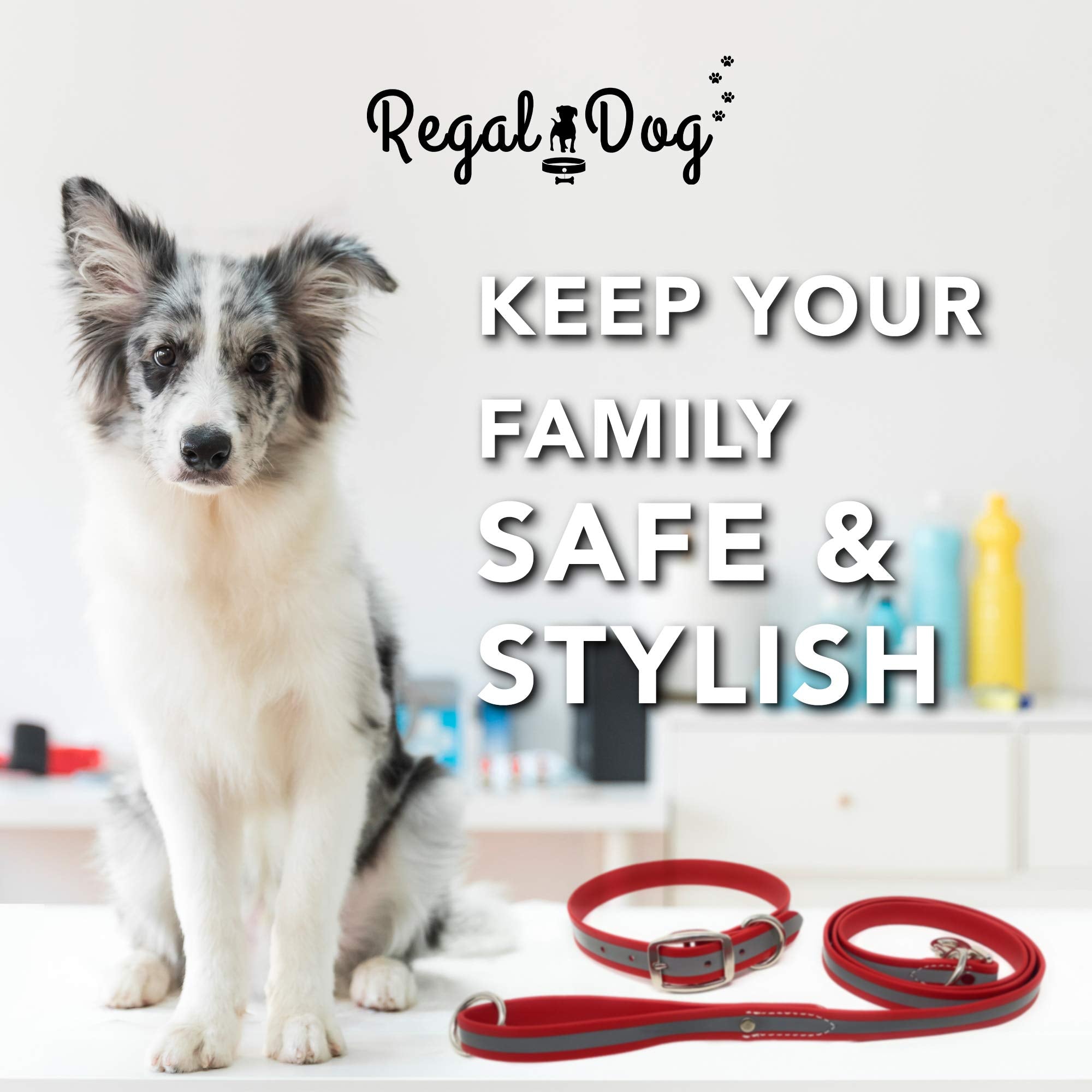 Regal Dog Products anillo en D de metal para seguridad.