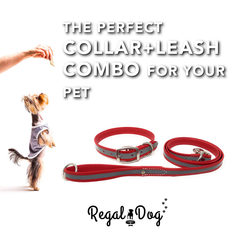 Regal Dog Products cierre doble de acero en collar para mayor durabilidad.