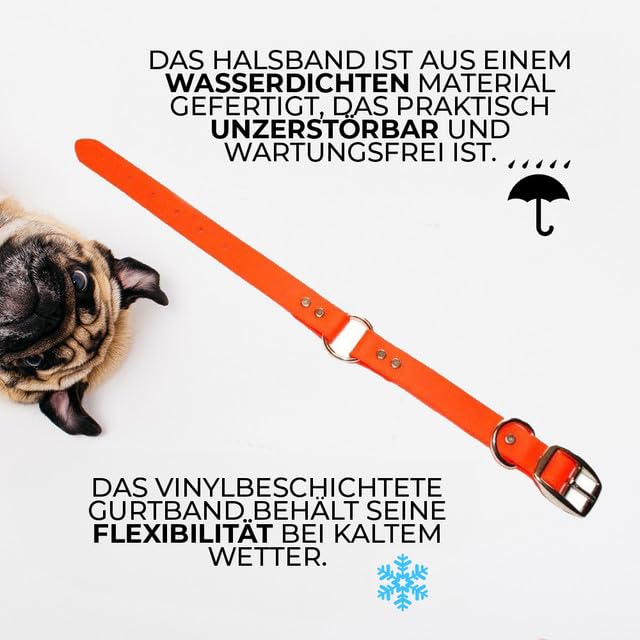 Collar impermeable Regal Dog Products, duradero y fácil de limpiar