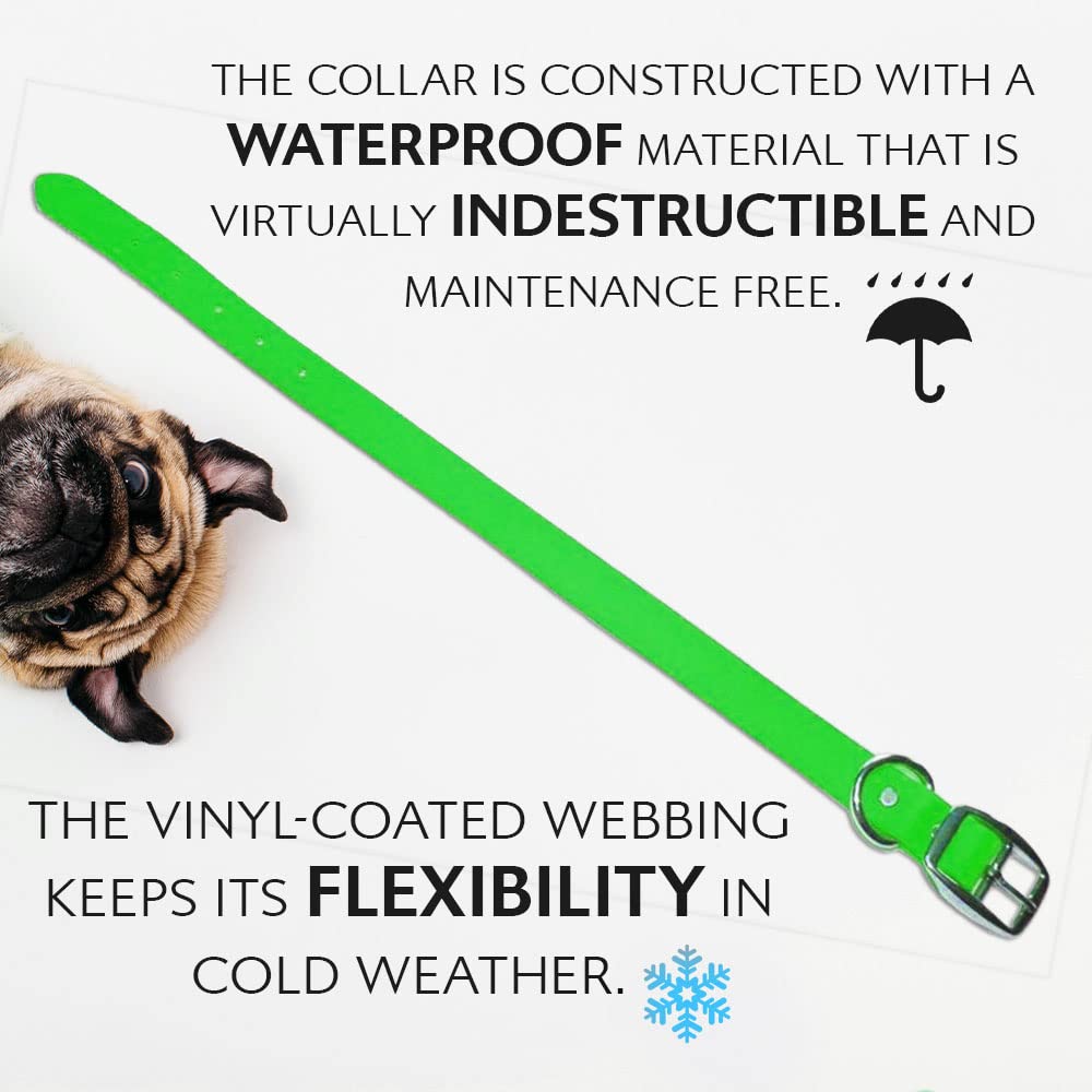 Collar impermeable Regal Dog Products, ideal para playa y agua.