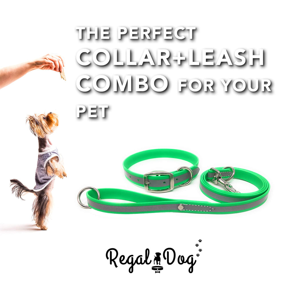 Regal Dog Products collar impermeable PVC, fácil de limpieza