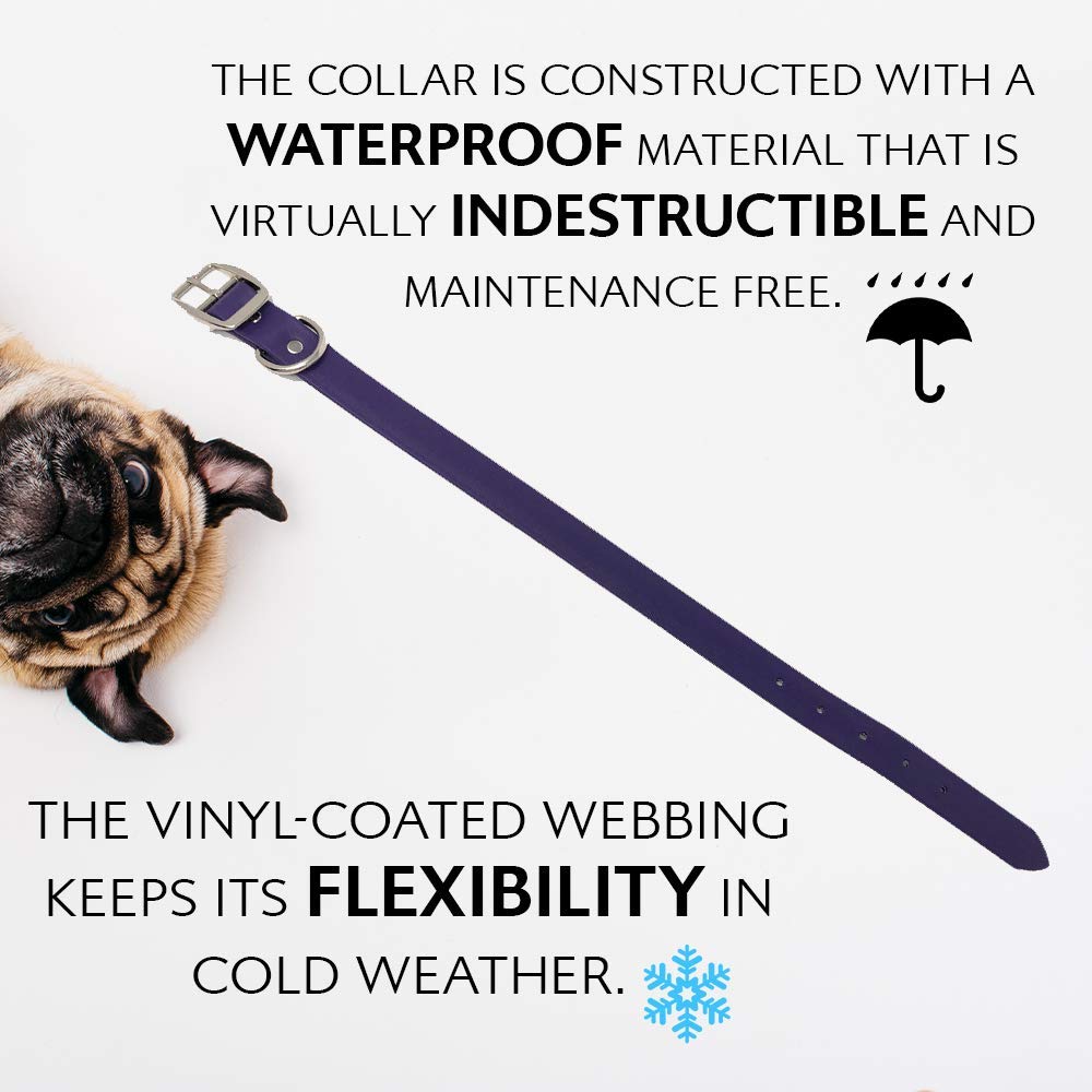 Regal Dog Products: collar para perros de caza o entrenamiento, resistente al agua.