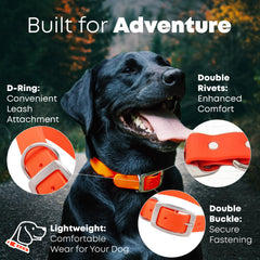 Regal Dog Products collar con doble hebilla, ideal para mayor seguridad.