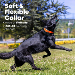 Regal Dog Products collar con recubrimiento de vinilo, resistente al agua.