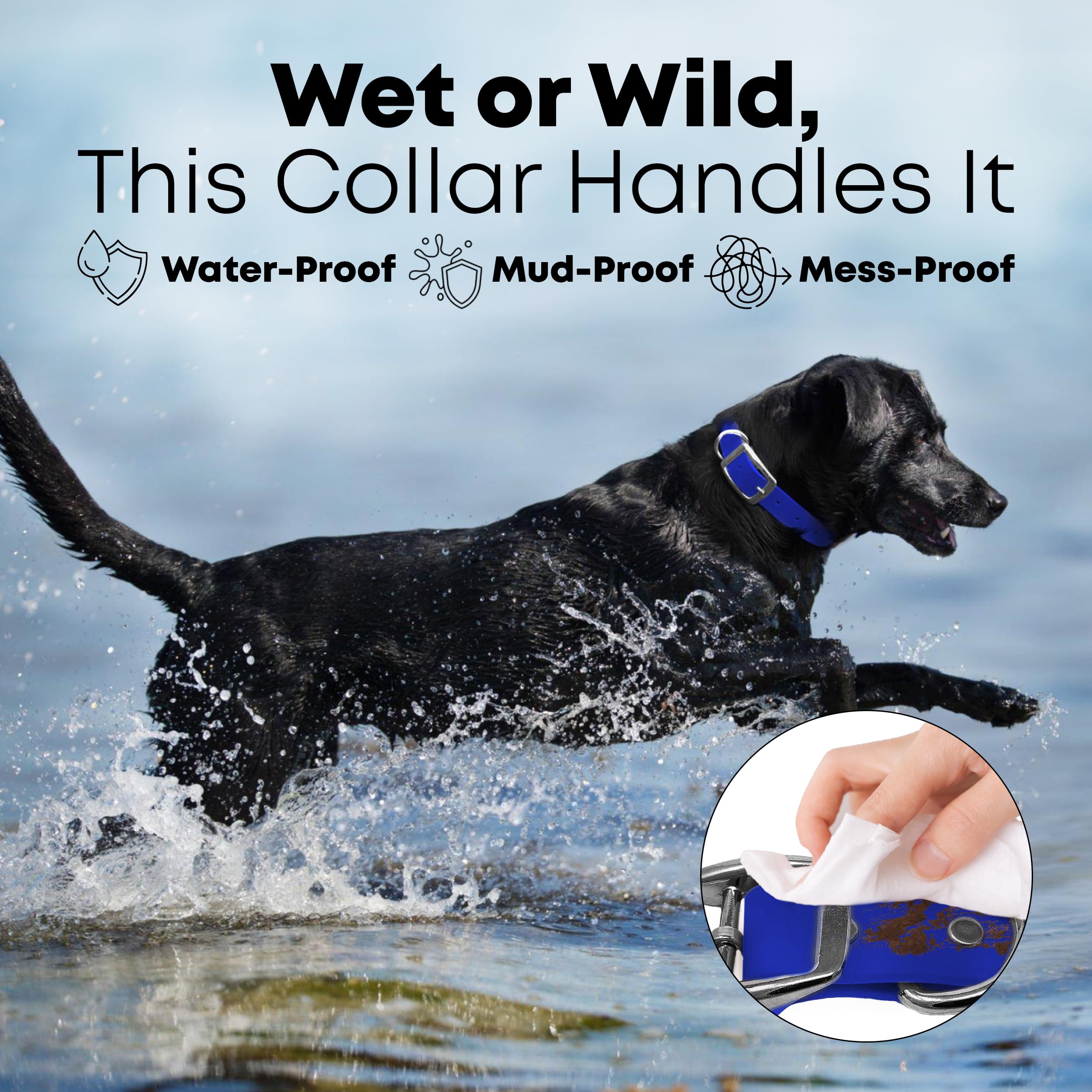 Regal Dog Products collar recubierto de vinilo, ligero y resistente al agua.