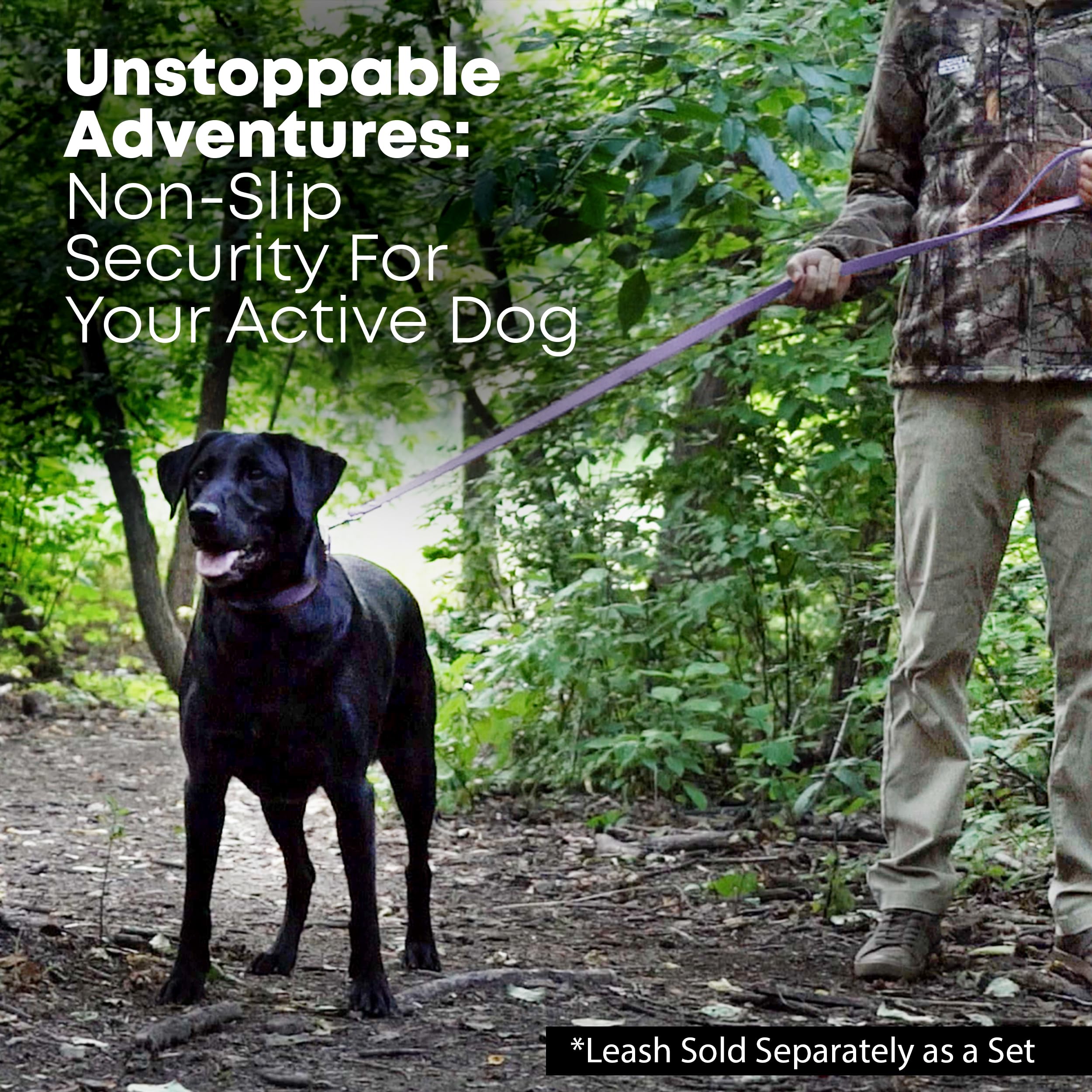 Regal Dog Products: collar impermeable que se mantiene flexible en climas fríos.