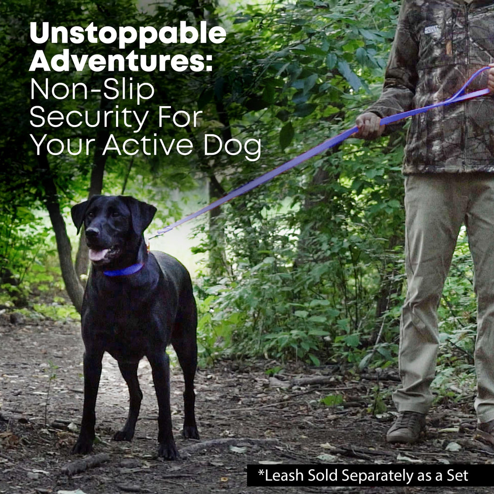 Regal Dog Products collar resistente con aspecto similar al cuero sin mantenimiento