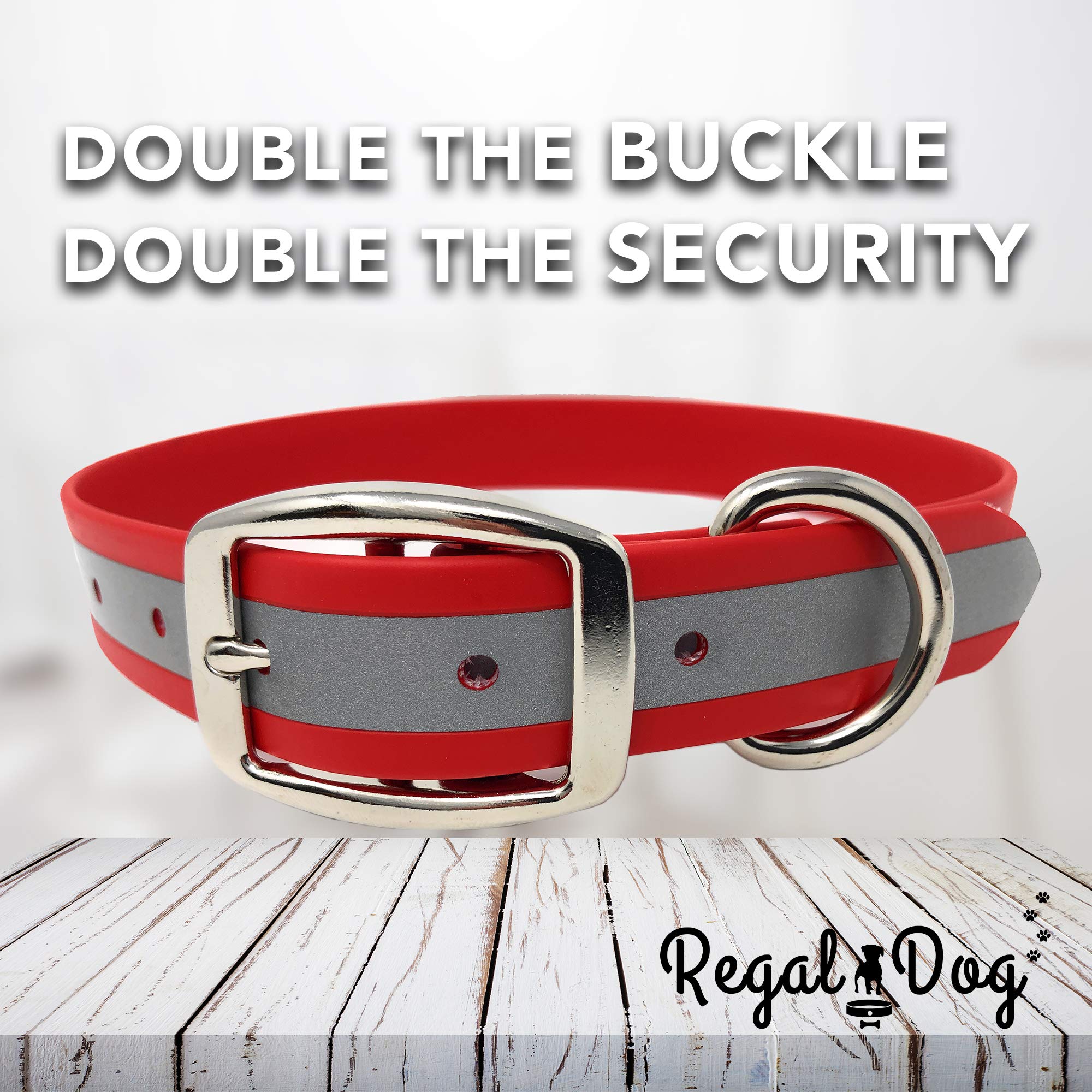 Collar resistente Regal Dog Products diseñado para aventuras al aire libre.