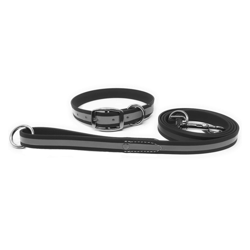 Regal Dog Products conjunto collar y correa reflectivos e impermeables para paseos nocturnos seguros.