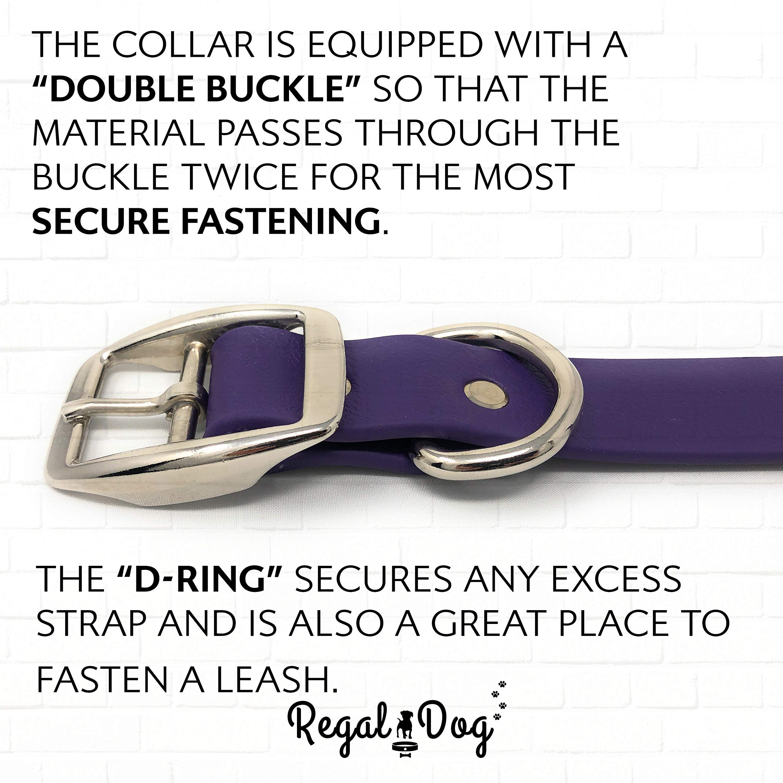 Regal Dog Products: conjunto de collar y cuerda impermeable para uso diario.