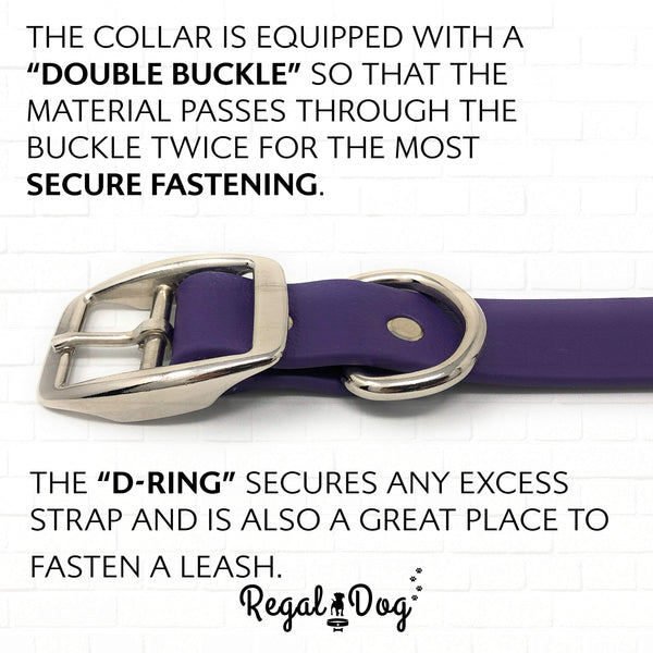 Regal Dog Products: conjunto de collar y cuerda impermeable para uso diario.