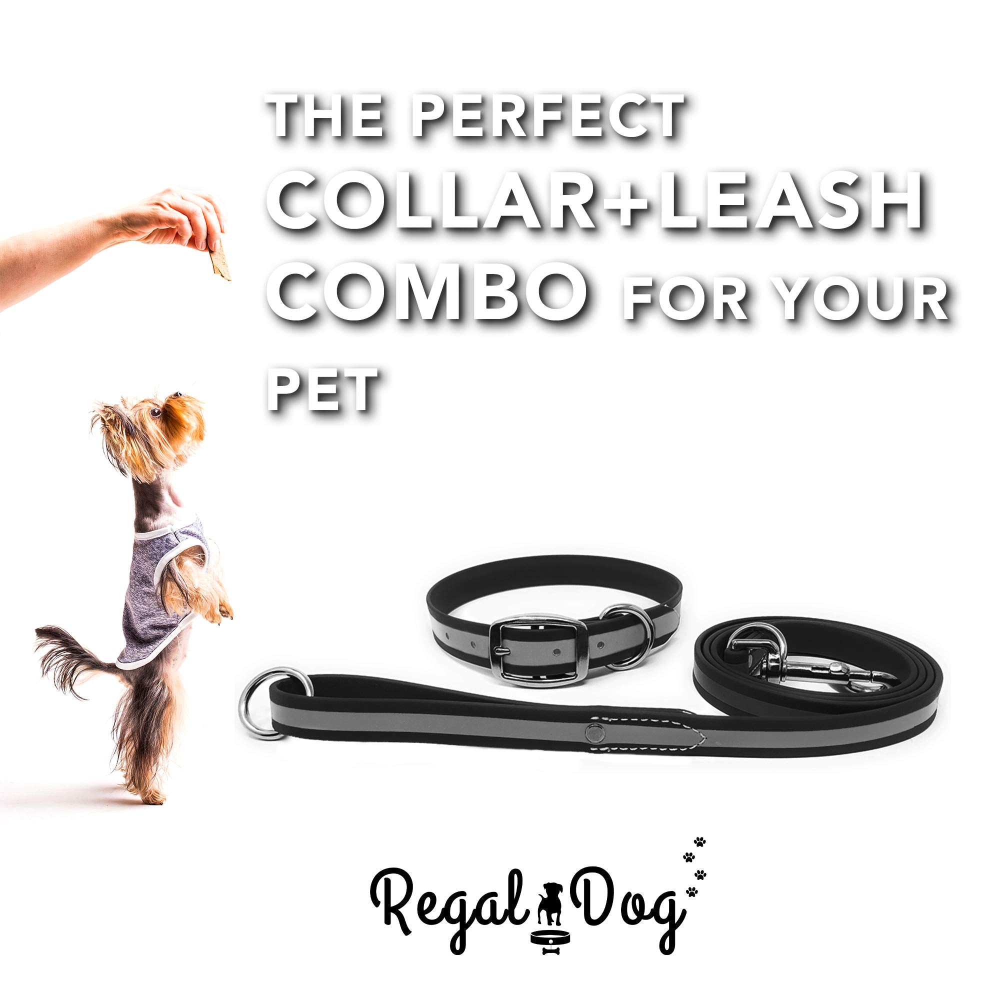 Regal Dog Products correa de 5 pies impermeable ideal para paseos y tirones.