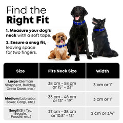 Regal Dog Products correa azul impermeable con hebilla doble para mayor seguridad