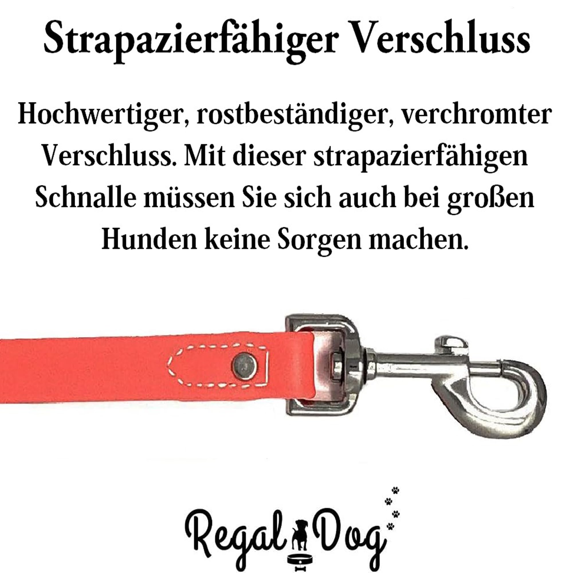 Correa impermeable Regal Dog Products, duradera y confiable