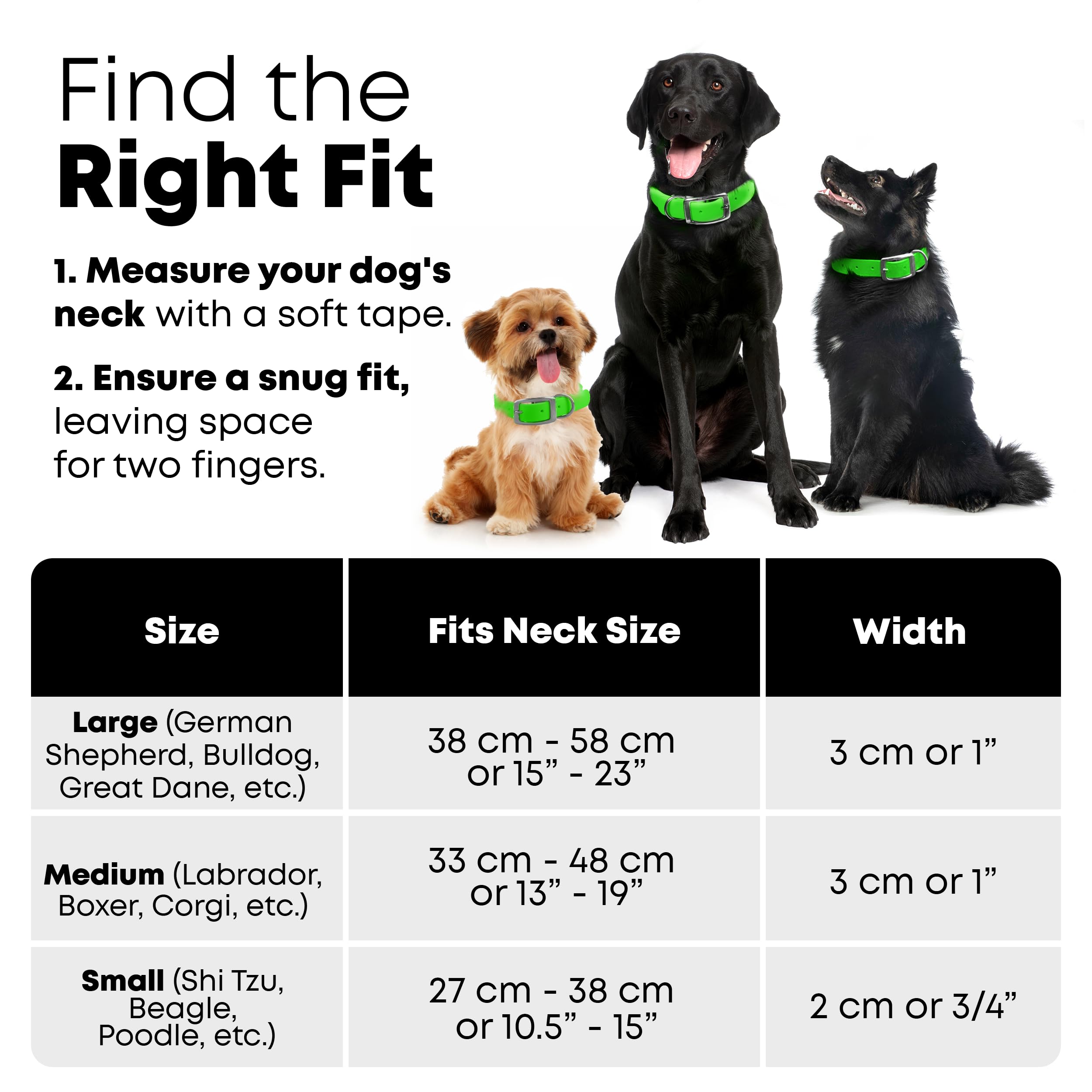Correa Regal Dog Products de 5 pies, verde claro, para paseos seguros y control.
