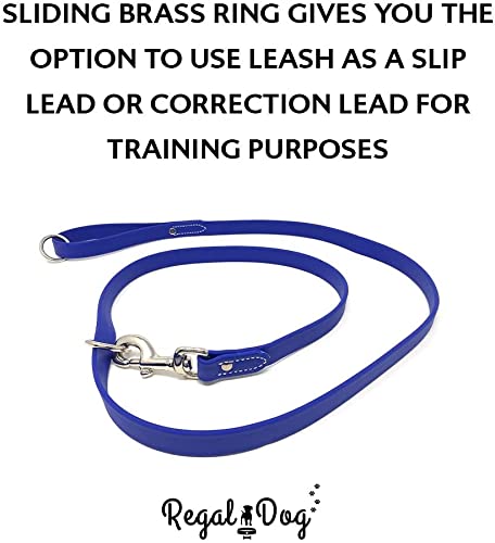 Regal Dog Products collar y correa funcionan en climas fríos manteniendo flexibilidad