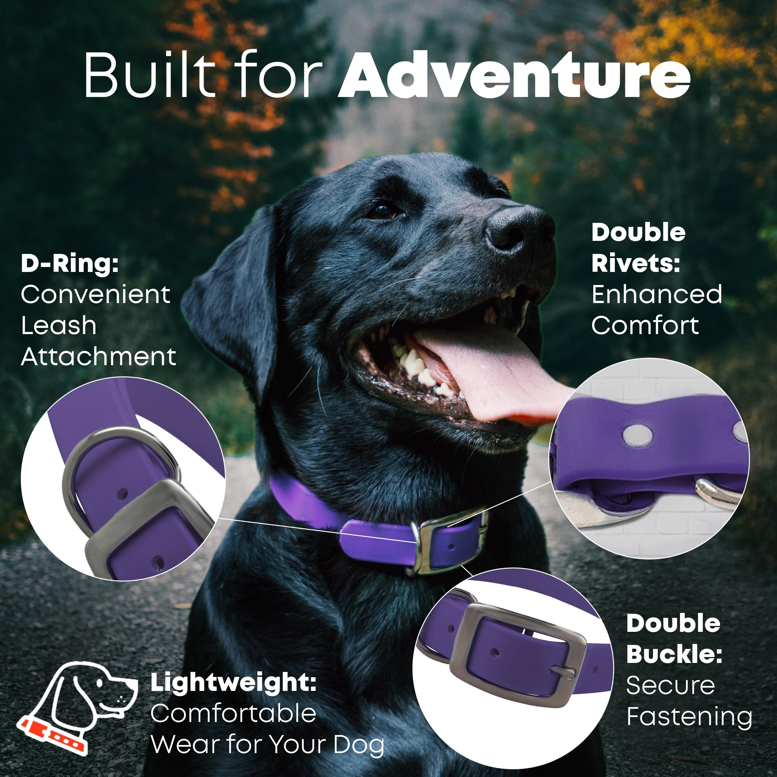 Regal Dog Products: hebilla doble segura para paseos sin desgaste.