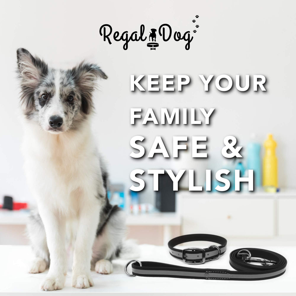 Regal Dog Products hebilla doble robusta para mayor seguridad al caminar.