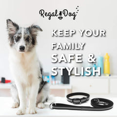 Regal Dog Products hebilla doble robusta para mayor seguridad al caminar.