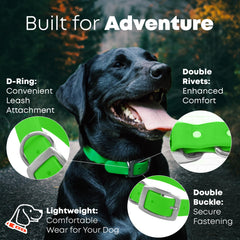 Hebilla doble Regal Dog Products, collar robusto para uso diario.