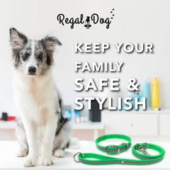 Regal Dog Products hebilla doble resistente y anilla en D