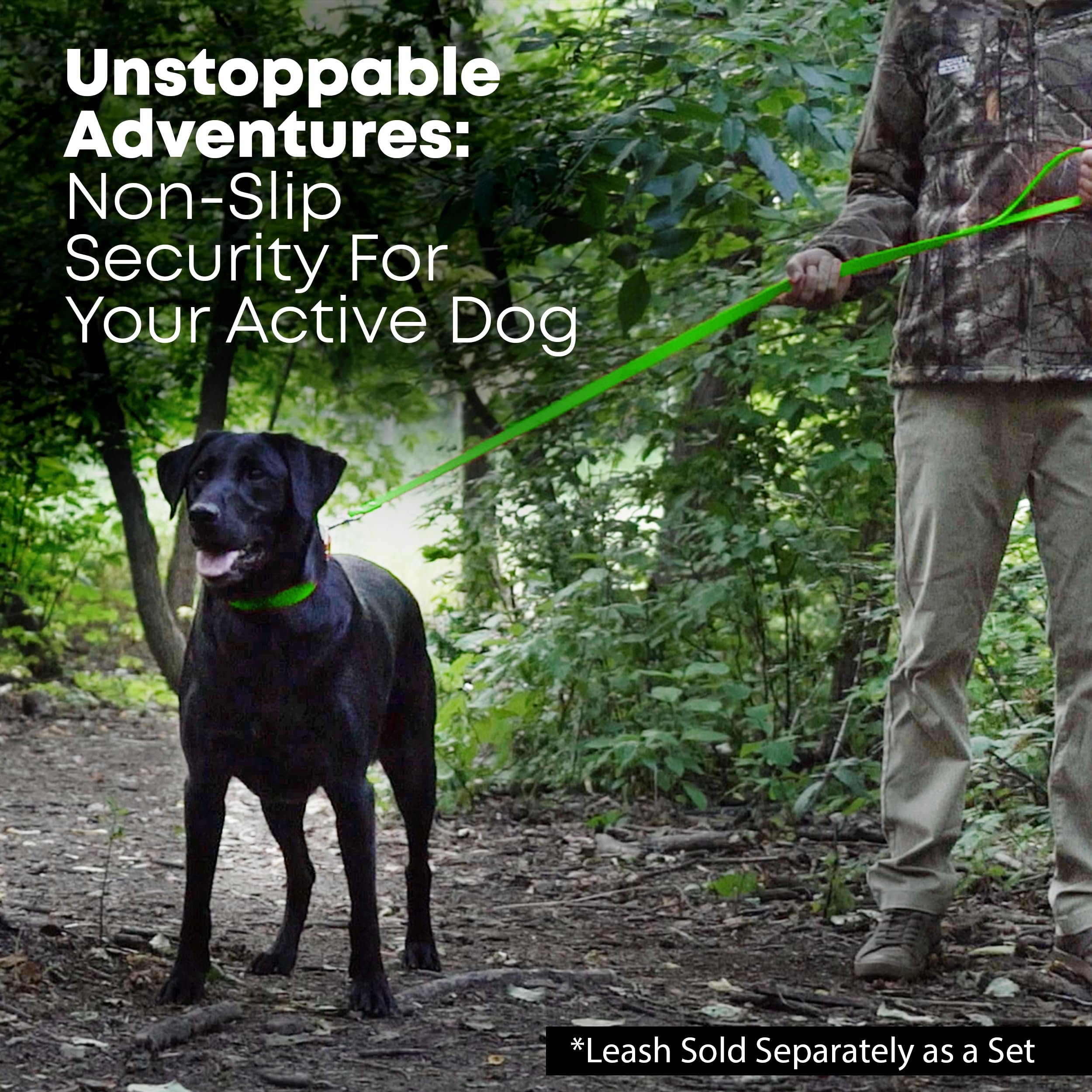 Material sintético con apariencia de cuero Regal Dog Products, fácil de limpiar.