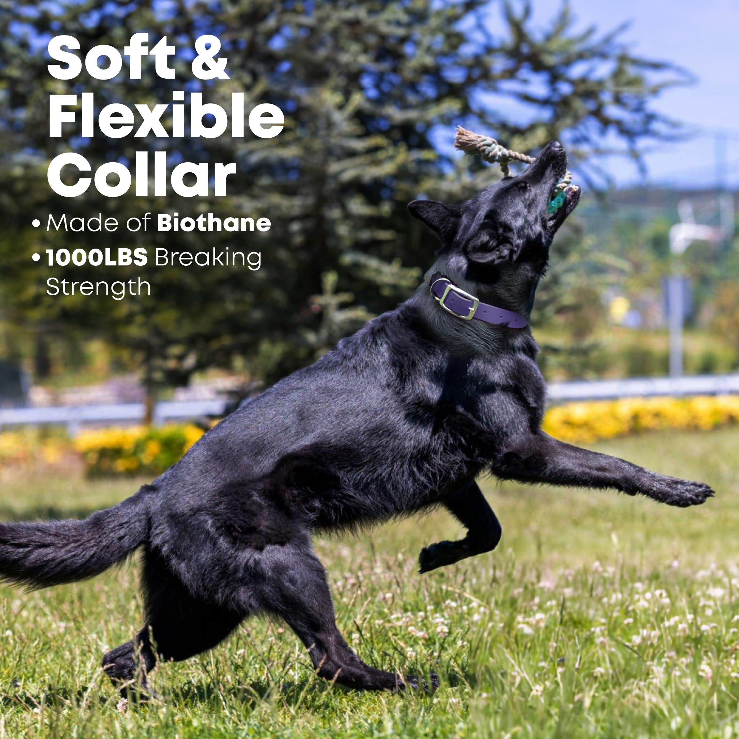 Regal Dog Products: material sintético resistente con aspecto de cuero y mantenimiento mínimo.