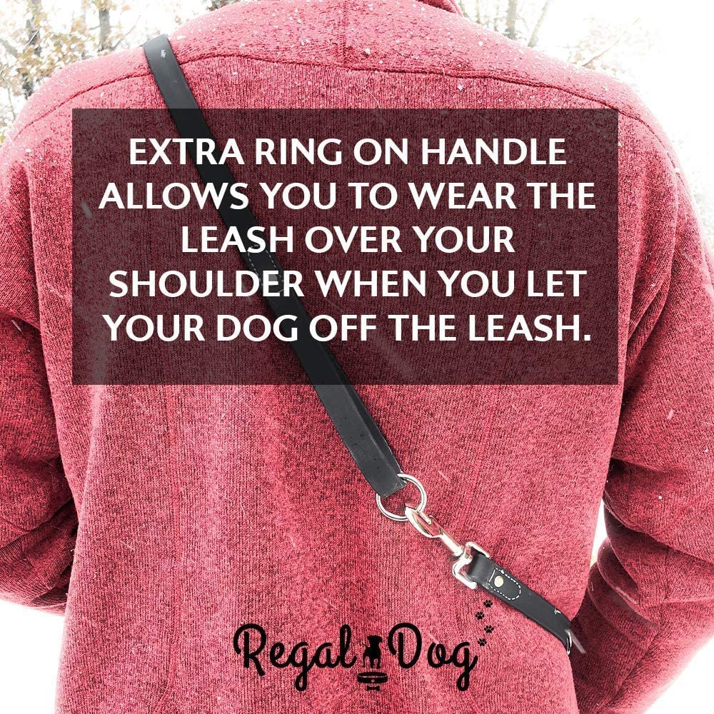 Paseo diario con collar y correa Regal Dog Products, seguro