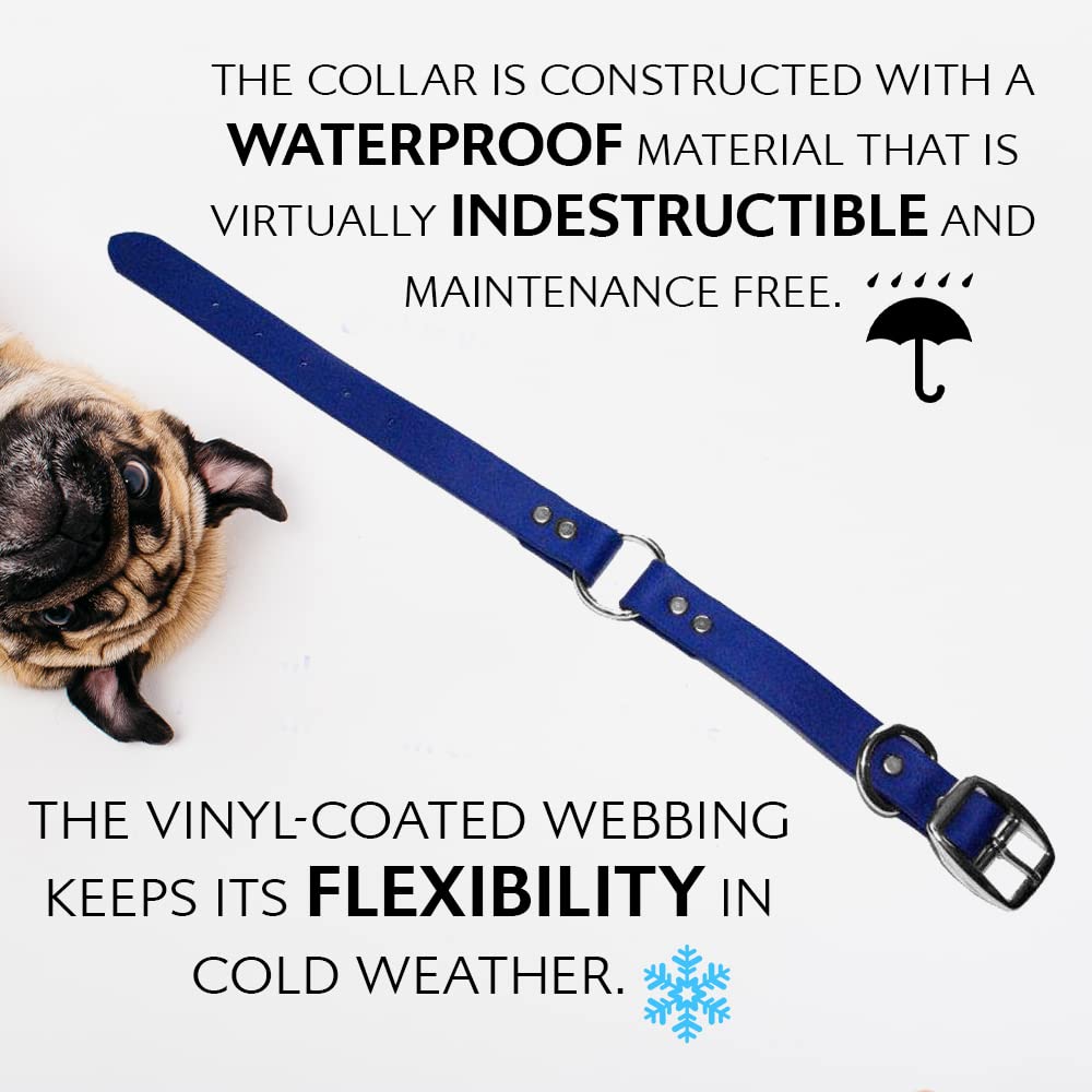 Regal Dog Products ideal para paseos en parques o playas con seguridad