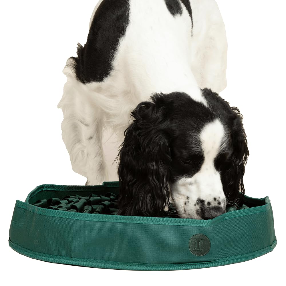 Reggie mat de alimentación estimulante para perros que fomenta la exploración durante la comida.