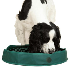 Reggie mat de alimentación estimulante para perros que fomenta la exploración durante la comida.