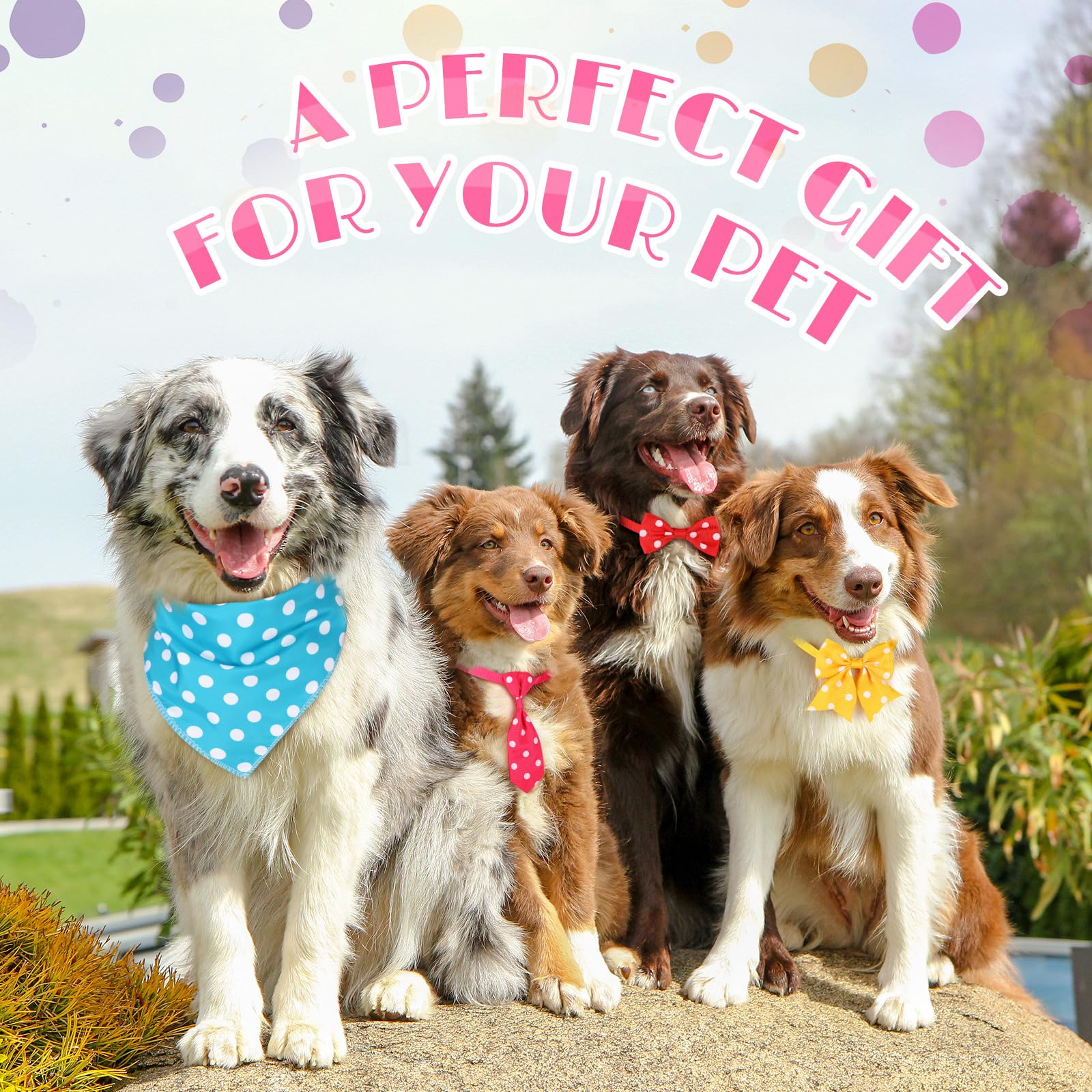 Reginary conjunto de accesorios para mascotas, variedad para looks diarios.