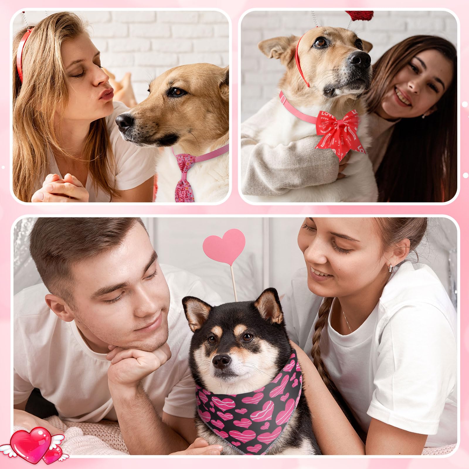 Kit Reginary de 120 piezas, accesorios versátiles para mascotas