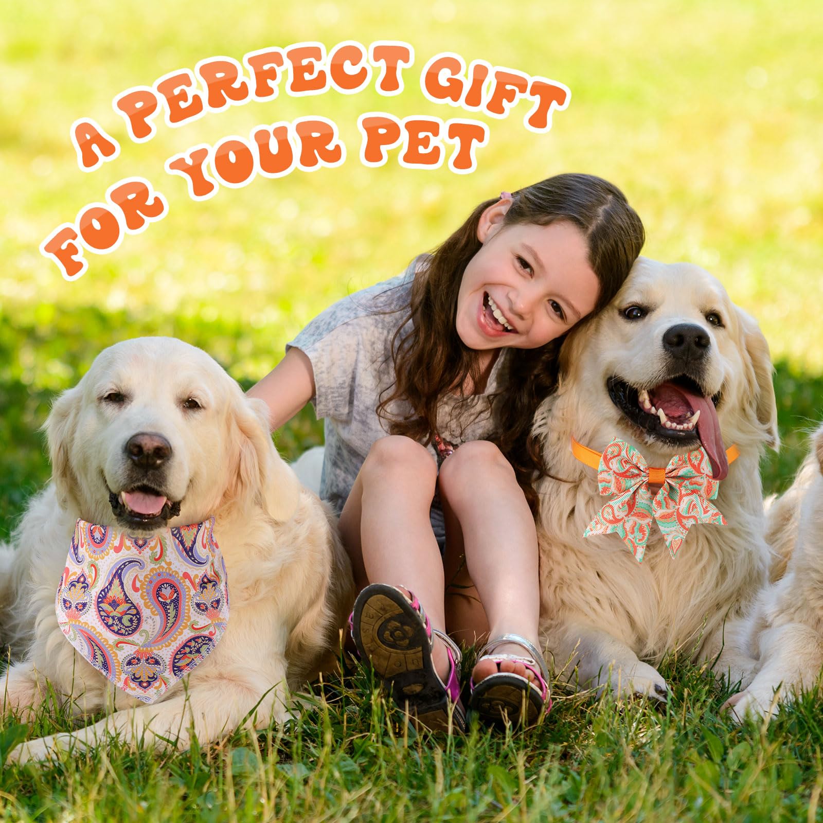 Conjunto de accesorios veraniegos Reginary para perros, diversidad de looks.