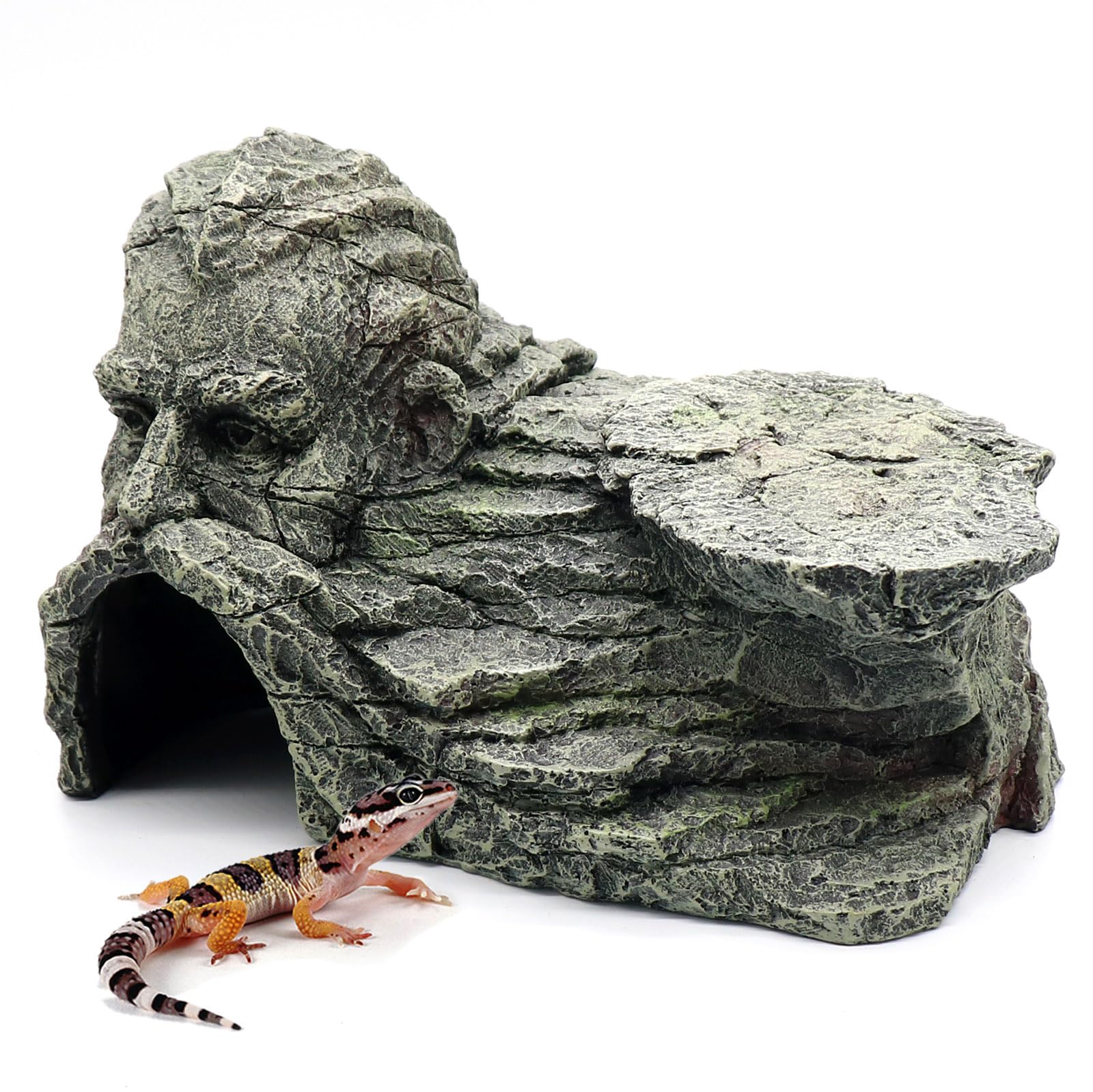 Relaqcc: plataforma de descanso al sol para reptiles con base estable.