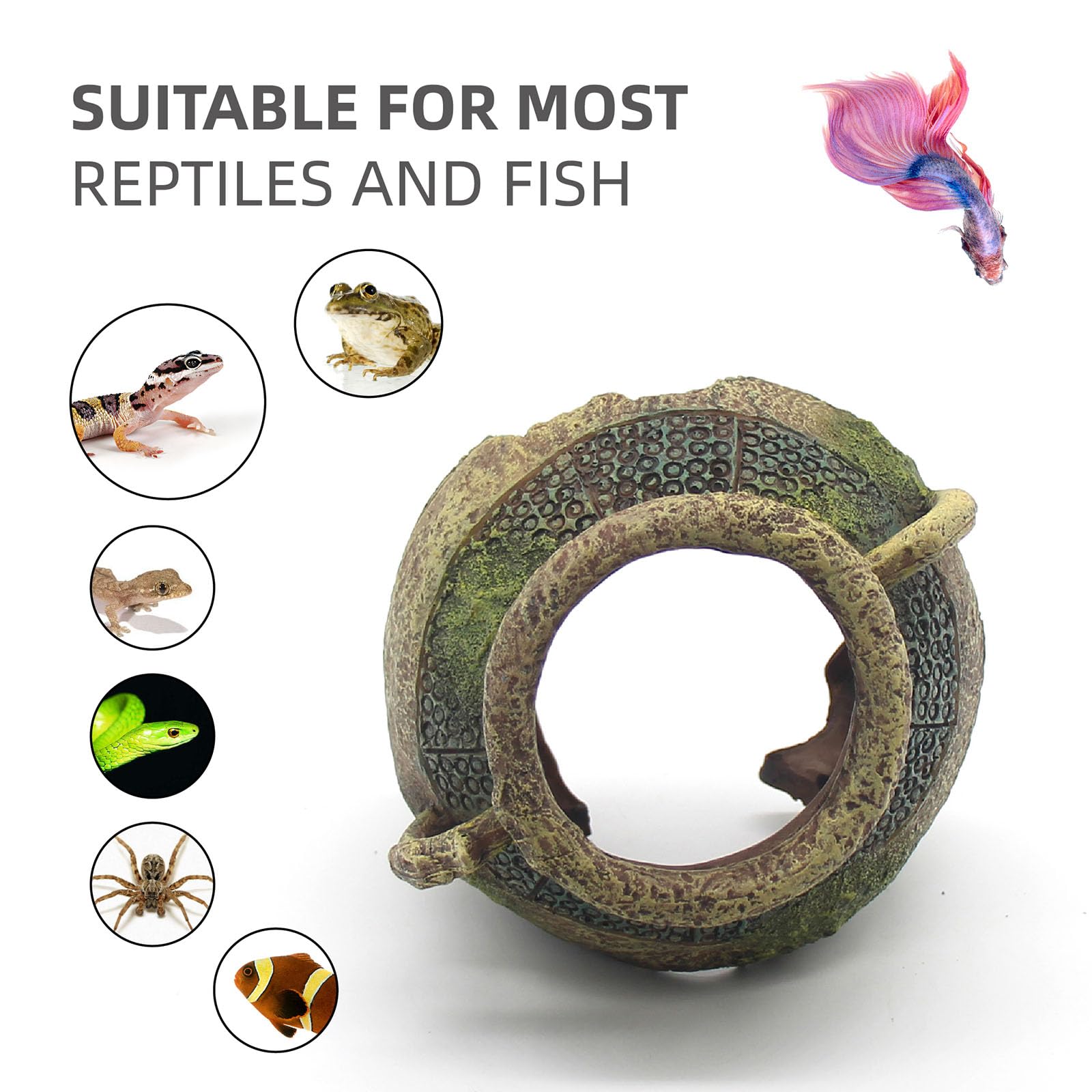 relaqcc ruinas acuario, ventilación y túneles para natación saludable