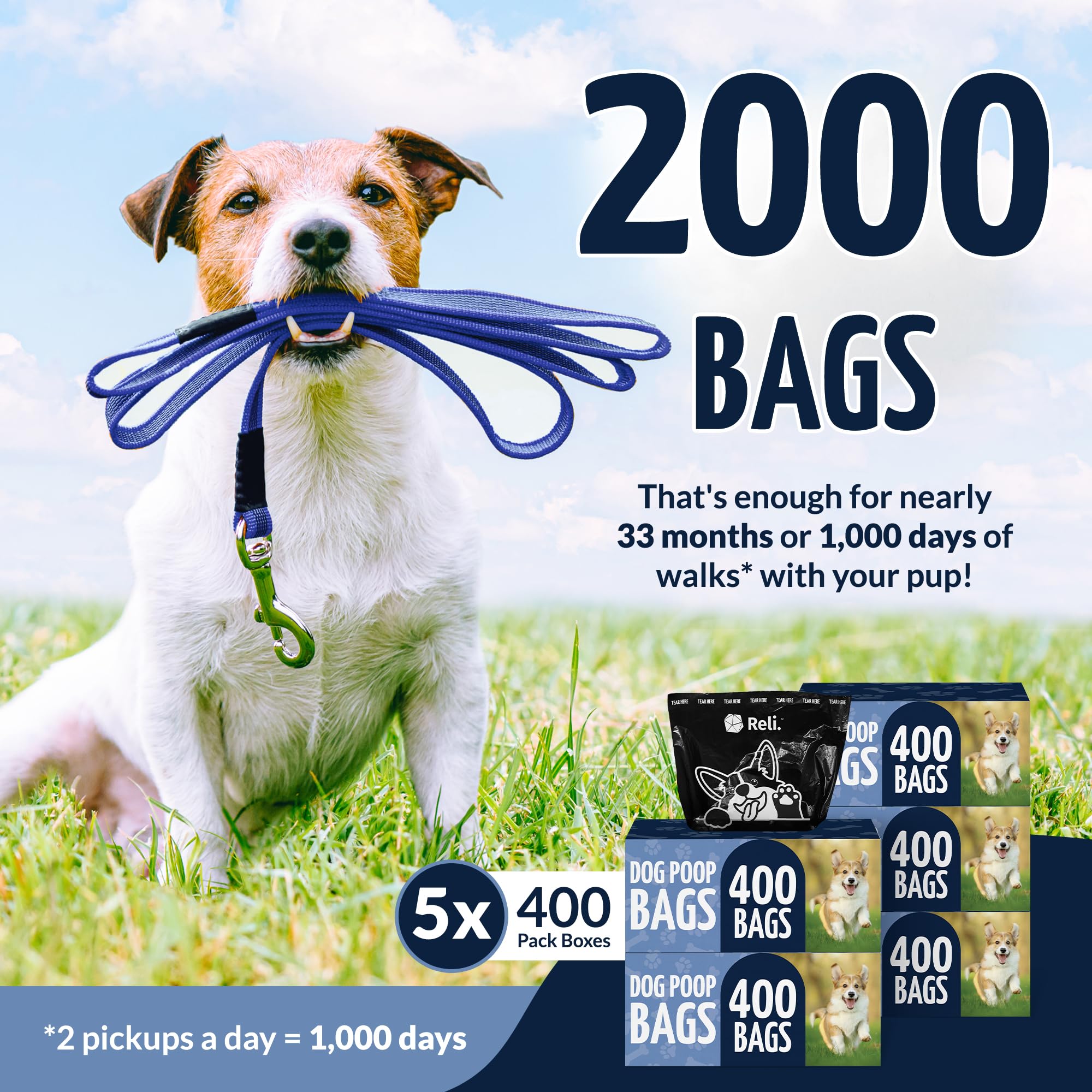 Reli bolsas para perros en paquete de 2000, ideal para caminatas largas.