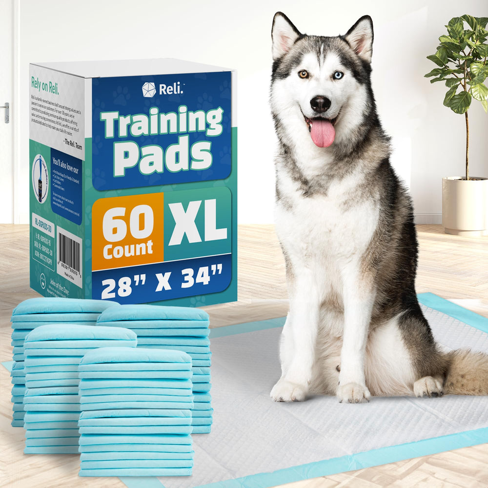 Reli tapete absorbente para perros XL 28x34, ideal para entrenamiento.