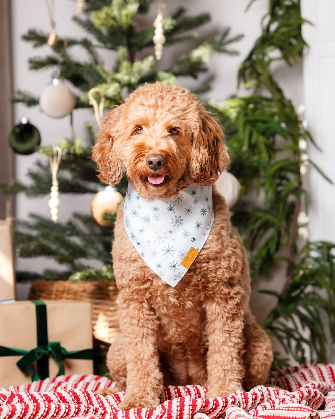 Remy+Roo bandanas tela refrescante: comodo en dias calidos para perros activos.